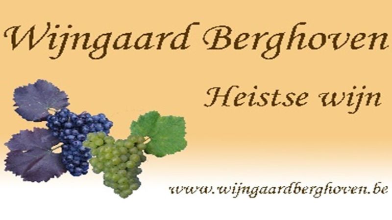 Wijngaard Berghoven logo